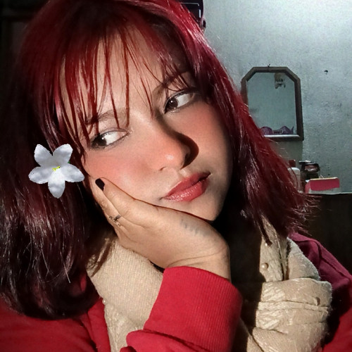 Shikha B. profile photo