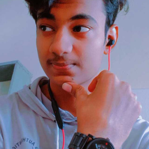 dev v. profile photo