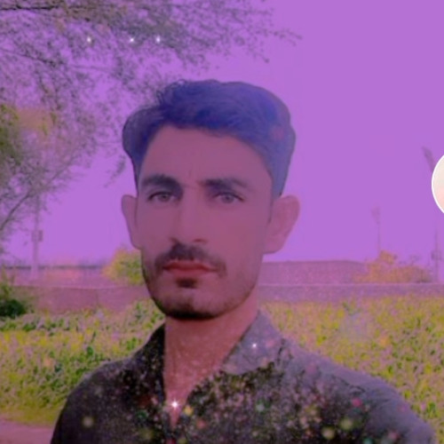 Javaid H. profile photo