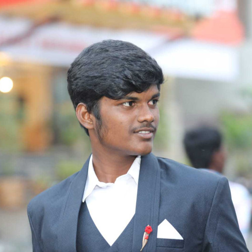 raja K. profile photo