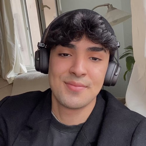 Mehdi N.