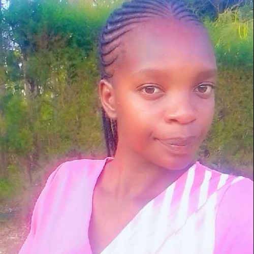 Saila A. profile photo