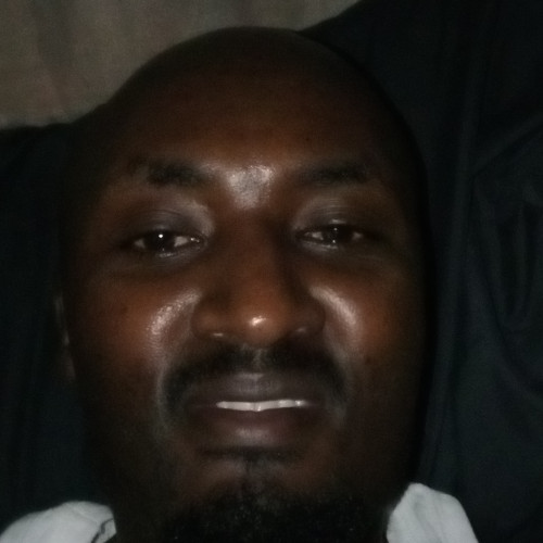 Stephen  N. profile photo