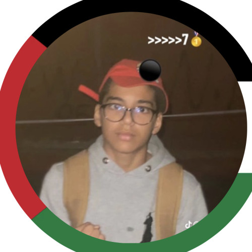 Amir S. profile photo