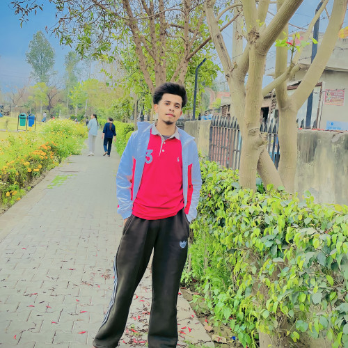 Mohd S. profile photo