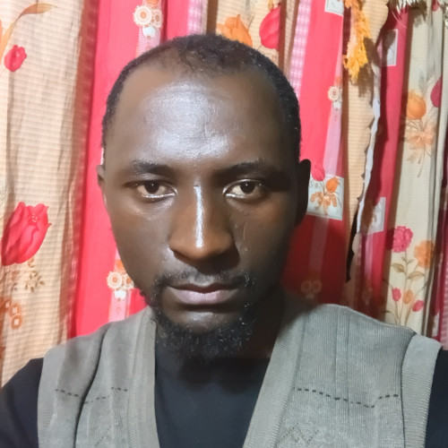Martin  M. profile photo