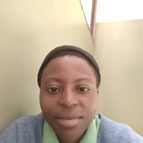 Kisife  N. profile photo