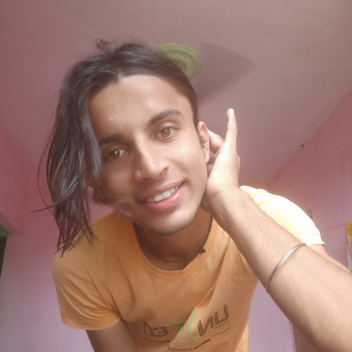 Raman D.