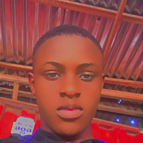 Princely  D. profile photo
