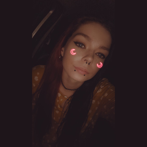 Kitten K. profile photo