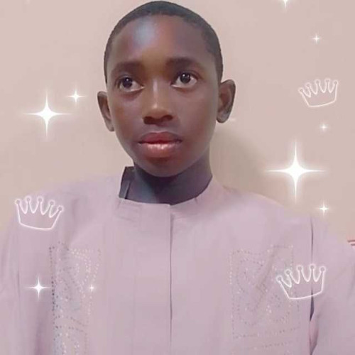 Emmanuel E. profile photo