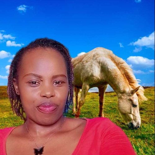 Angie s. profile photo