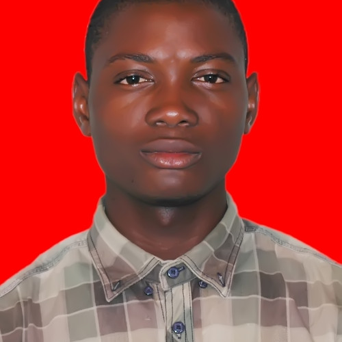 Toyosi  O. profile photo