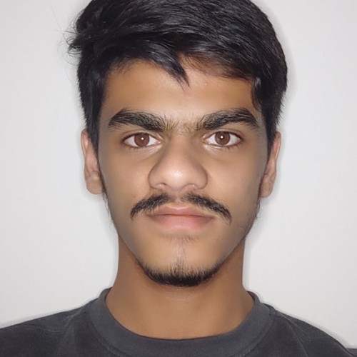 Ali S.