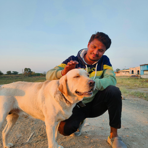 Shreedhar P. profile photo
