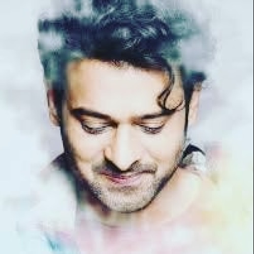 Sai K. profile photo