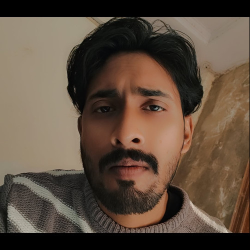 Himanshu  S. profile photo