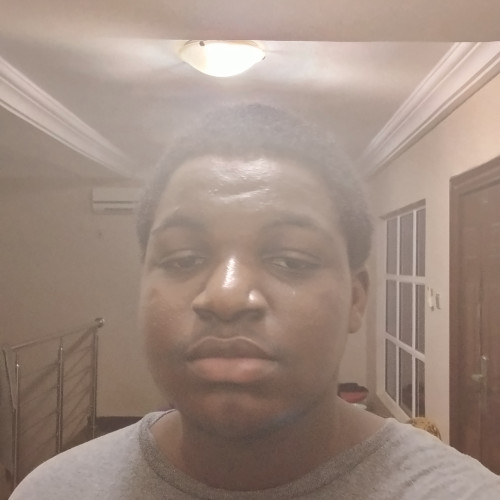 Oluwapelumi  A. profile photo