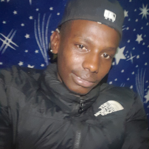 Rajn M. profile photo