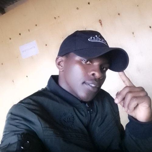 dominic m. profile photo