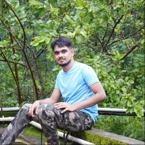 Karthik P.