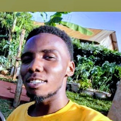 Herbert  @. profile photo