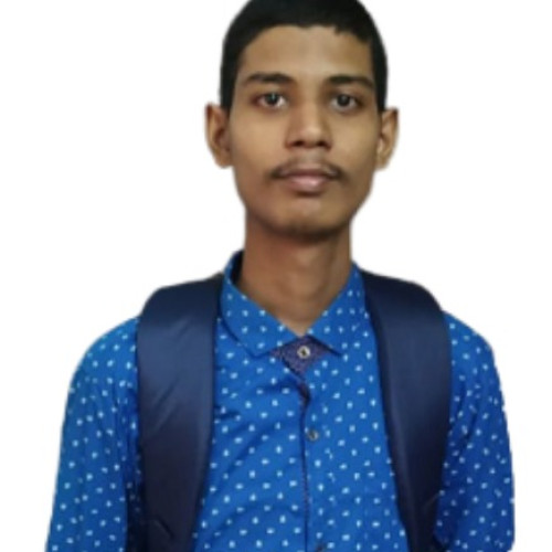 Subhodeep R.