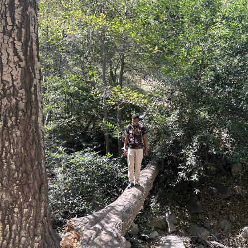 Jestin  W. profile photo