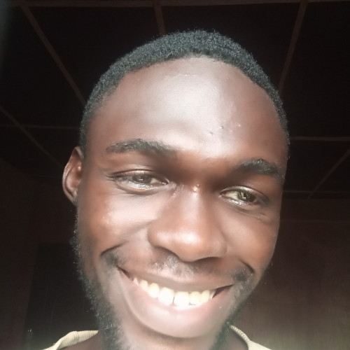 Afolayan  I. profile photo
