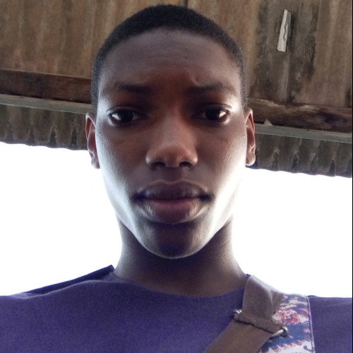 David  A. profile photo