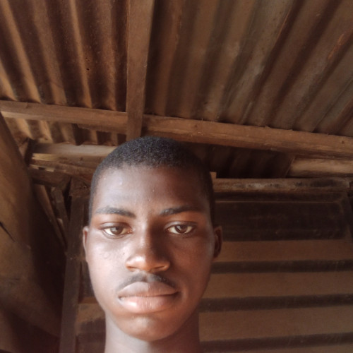 Alawode  S. profile photo