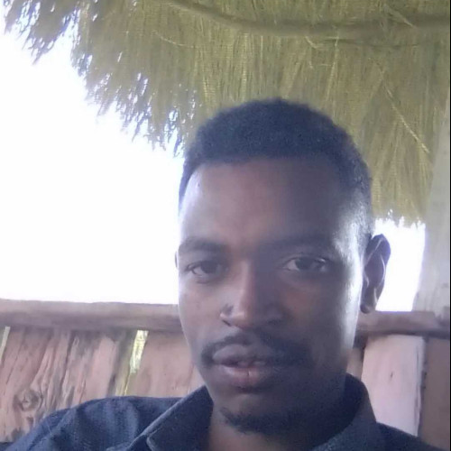 Dominic k. profile photo