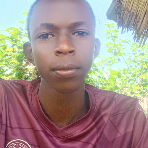 David  A. profile photo