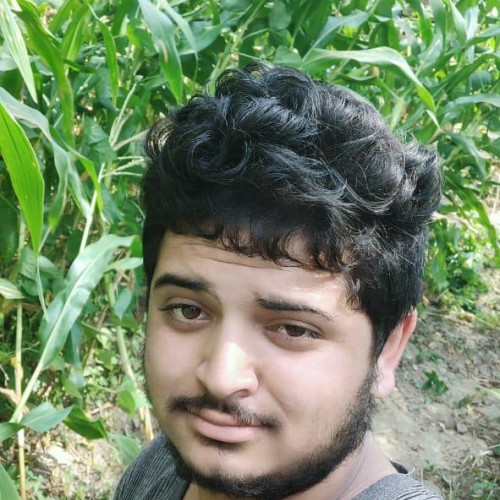 Vishal  T. profile photo