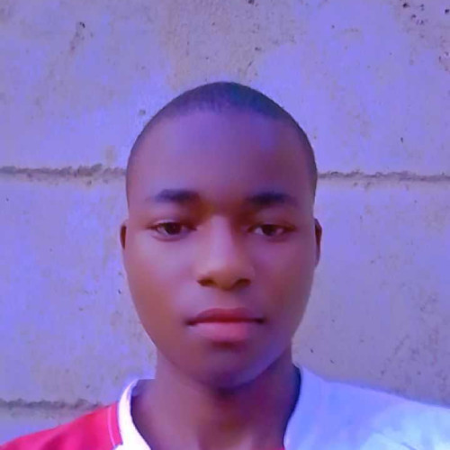 Lynne H. profile photo