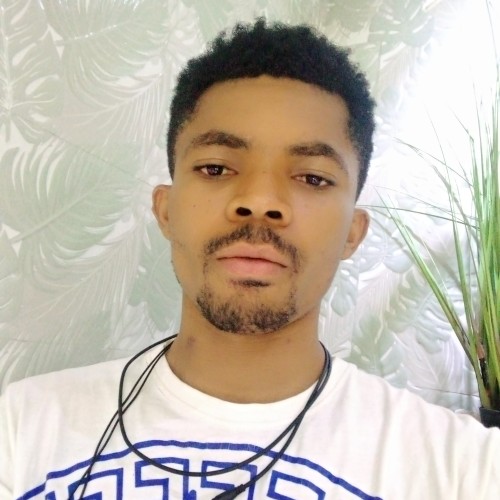 Chinedu  S. profile photo