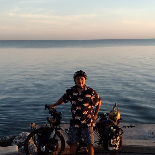 David N. profile photo