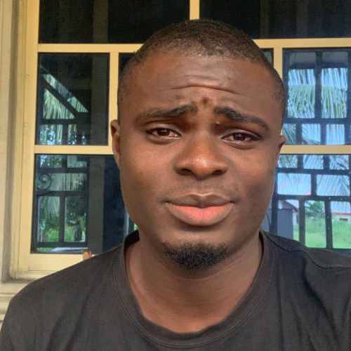 Chibuike  P. profile photo