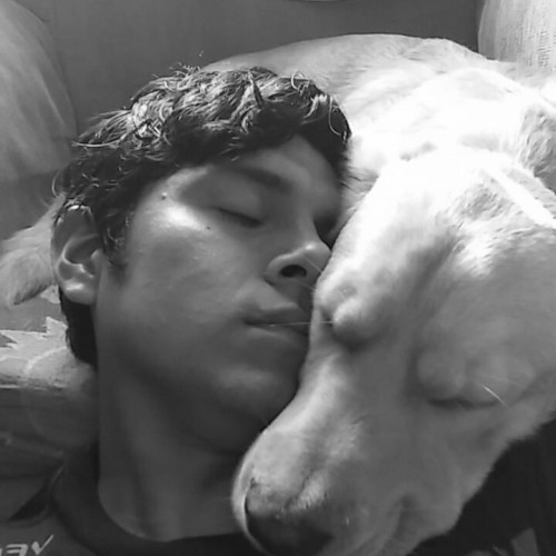 Luis Matheus D. profile photo