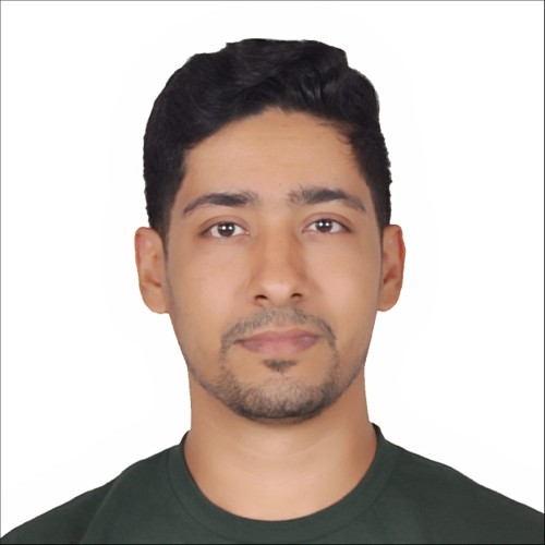 hassnain n.