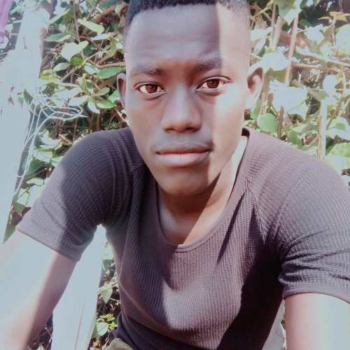 Vitalis  O.