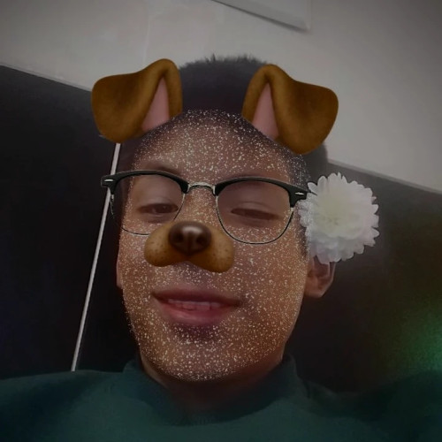 Orlando  S. profile photo