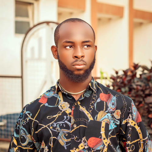 Chidiebere A. profile photo