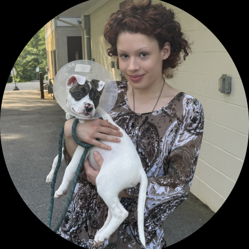 Stella  C. profile photo