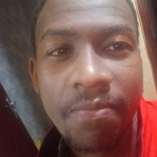 Alex M. profile photo