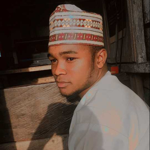 adamu s.