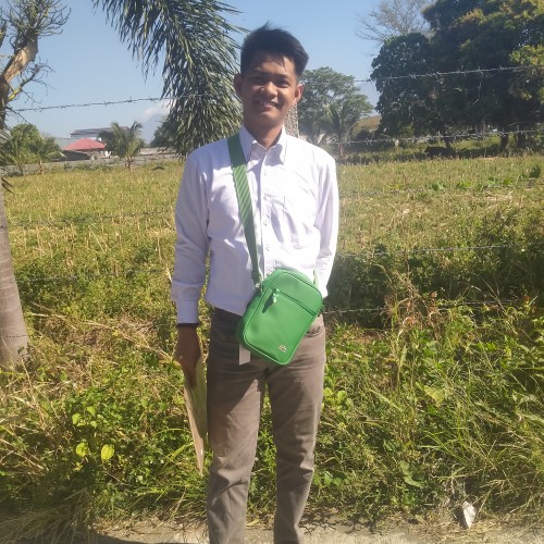 Vincent F.