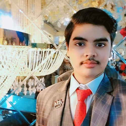 Max K. profile photo