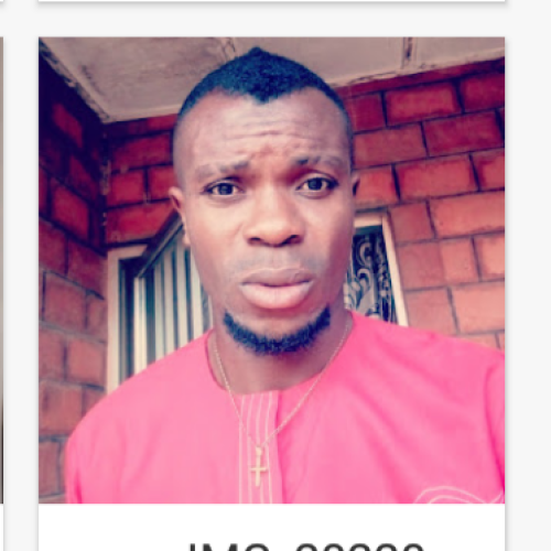 Kingsley  K. profile photo