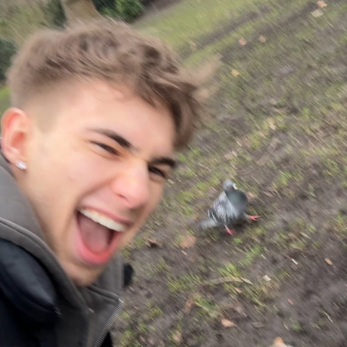 Marcel N. profile photo